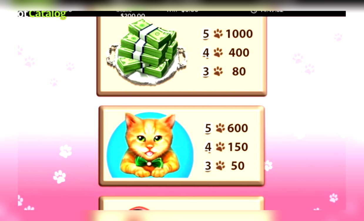 Eur 55 Casino Tournament at Mr. Vinna spilavíti